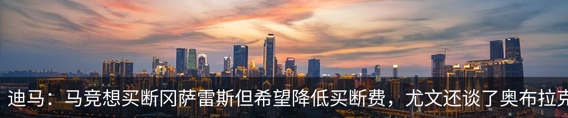 新闻动态